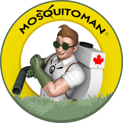 Mosquito Man Niagara